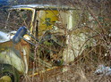 "gebot kann abgegeben werden... raptor_@web.de"

(Hinzugefgt: 18.02.2006, 02:34:32)